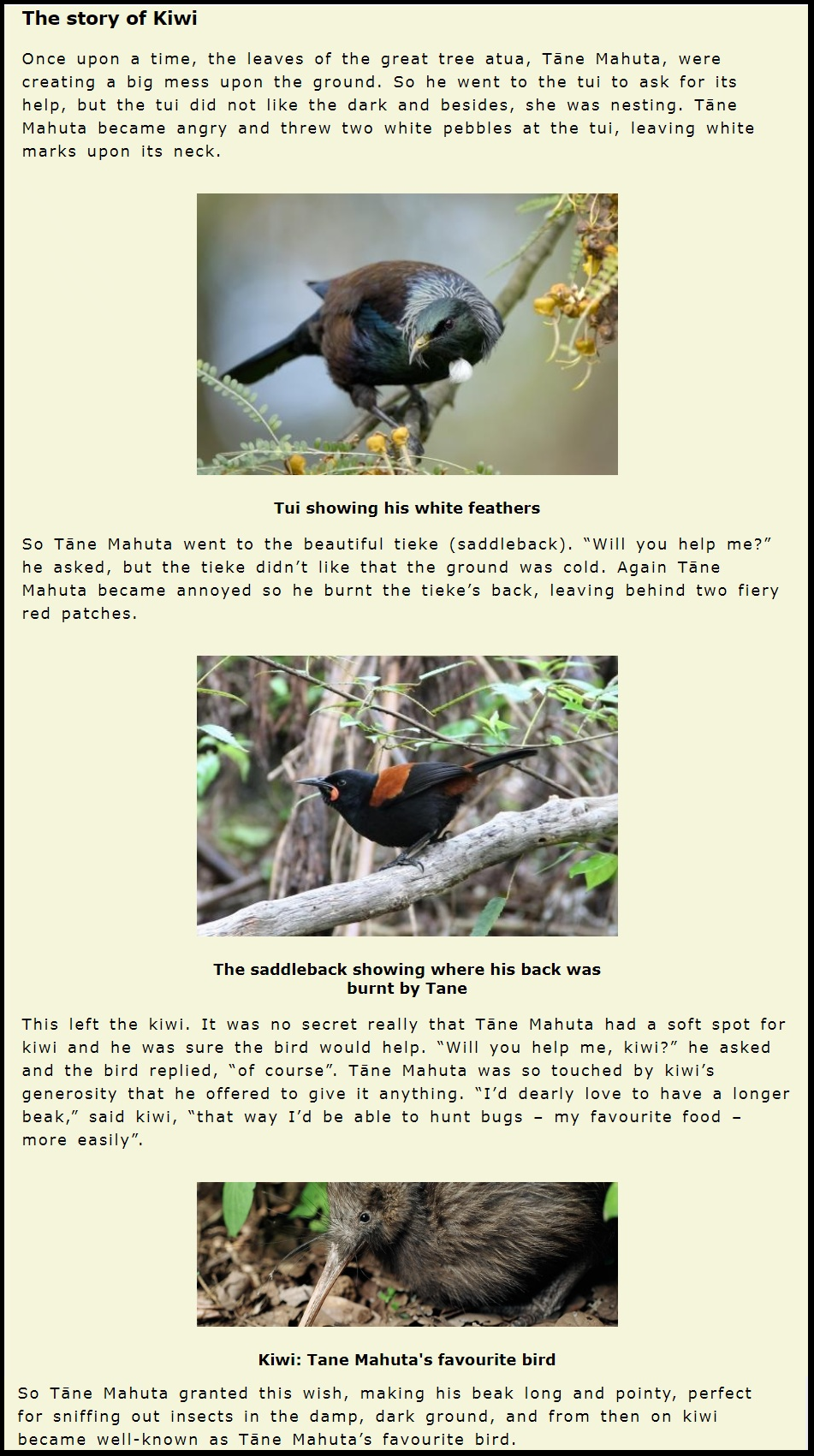 A web page with images of a tui, a saddleback and a kiwi